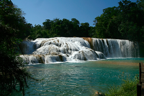 Cascadas de Agua Azul